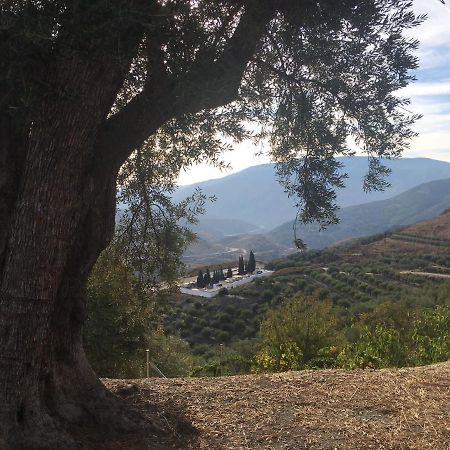 Jardin Andaluz Appart Alhambra Pinos del Valle Dış mekan fotoğraf