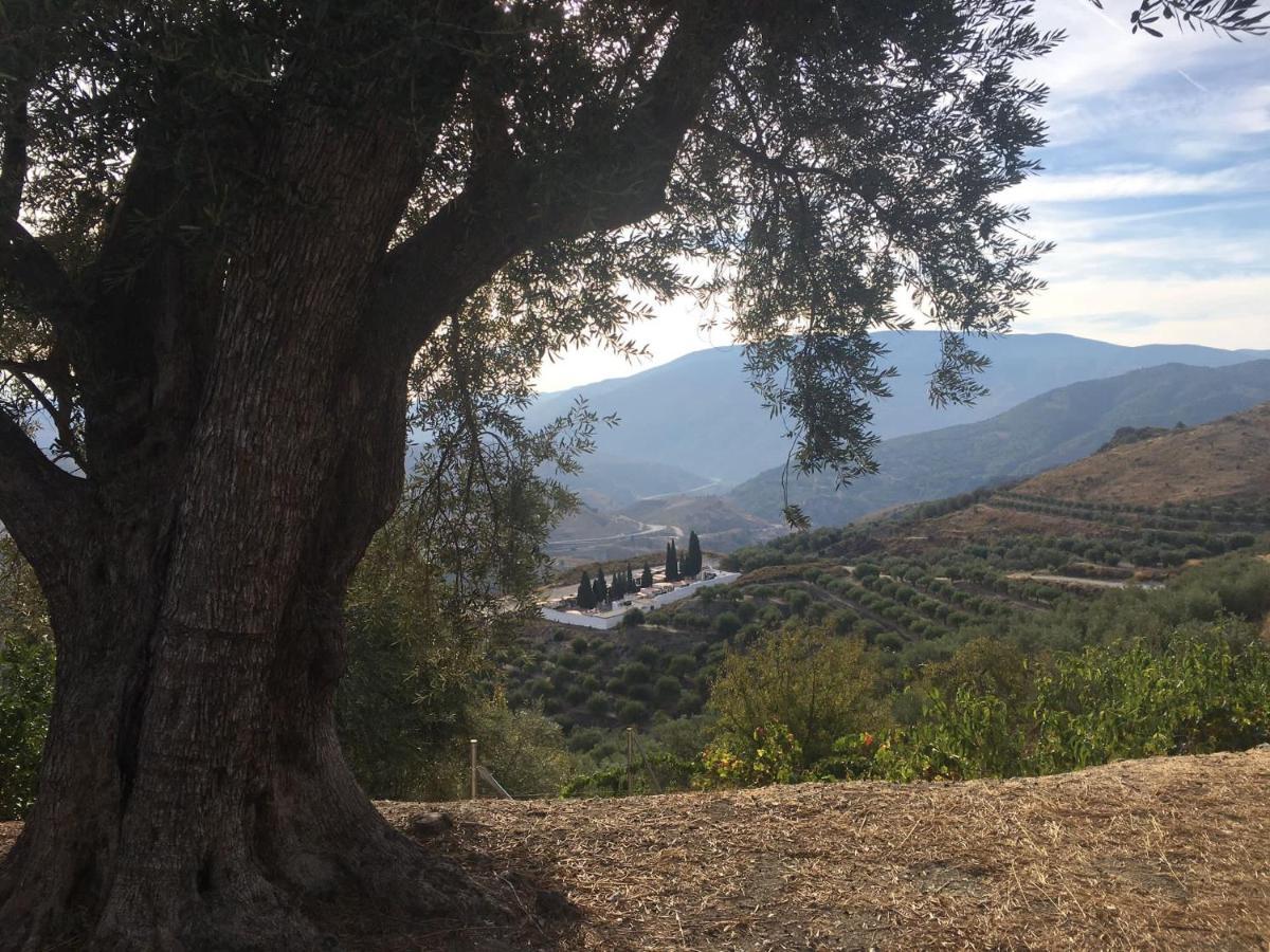 Jardin Andaluz Appart Alhambra Pinos del Valle Dış mekan fotoğraf