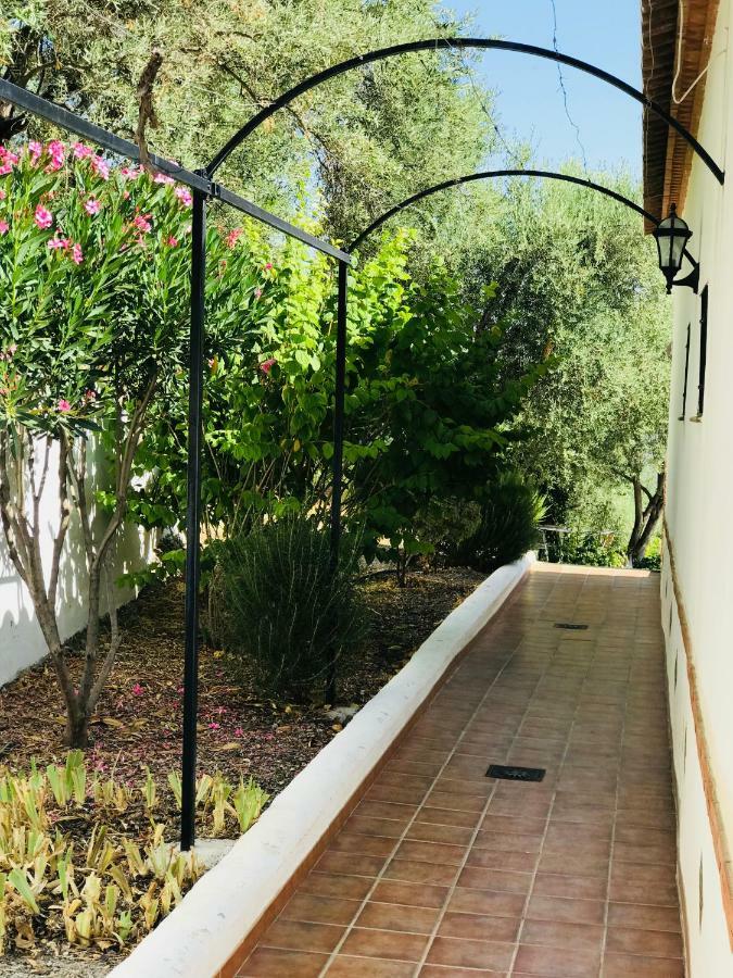 Jardin Andaluz Appart Alhambra Pinos del Valle Dış mekan fotoğraf